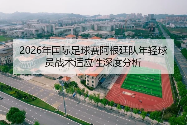2026年国际足球赛阿根廷队年轻球员战术适应性深度分析